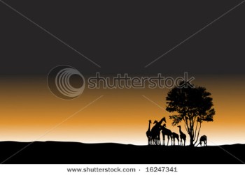 African sunrise landscape with giraffes.