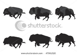 American bison galloping; vector format.