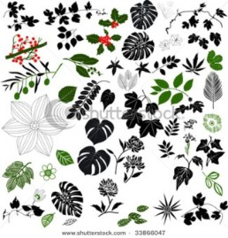 Black and white floral design elements; vector format.