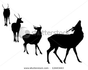 Buck deer grunting silhouette