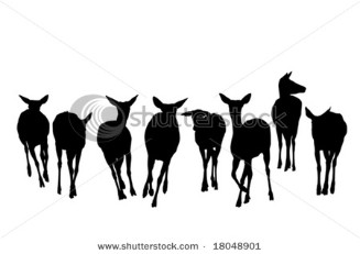 Deer herd running silhouette.