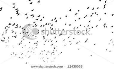 Flock of birds flying off.