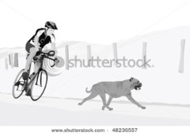 Man riding bike with his dog.