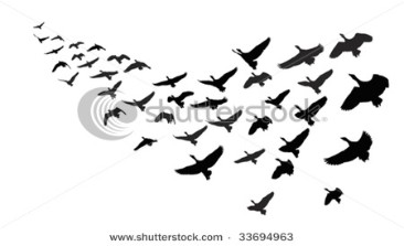 Wild geese in flight.